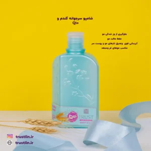 شامپو سر جوانه گندم جلوگیری از وزشدگی مو